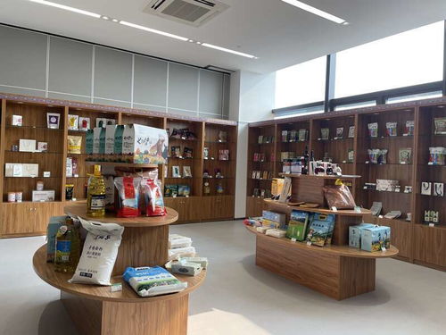 南京援疆 在伊犁河谷绘制乡村振兴图景