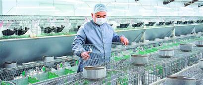青岛农业:绿色品质,世界共享