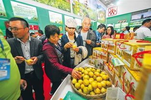 海南 冬交会 定安展馆 绿色产品销售38万余元