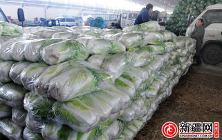 城北新区综合市场开业 保障乌市300多家蔬菜直销点供应