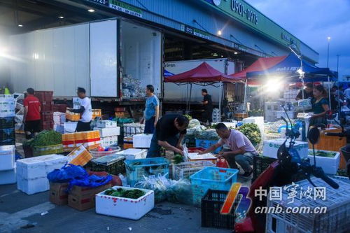 台风天 宁波人的 菜篮子 稳稳的