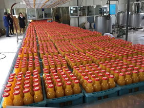 电商助力 太行一百岁 品牌孵化成功